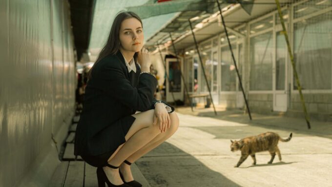 Why Cats Are the Perfect Pets for Busy Professionals in 2026