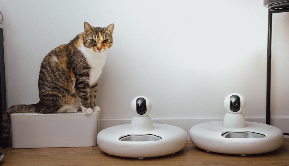 The Top 12 Products Every Cat Owner Needs in 2026