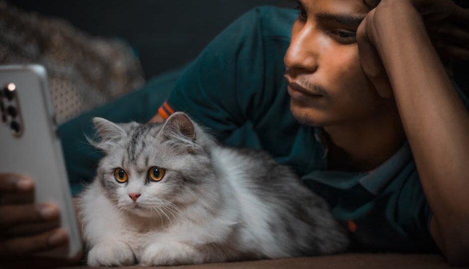 The Impact of Technology on Cat Care: Trends for 2026