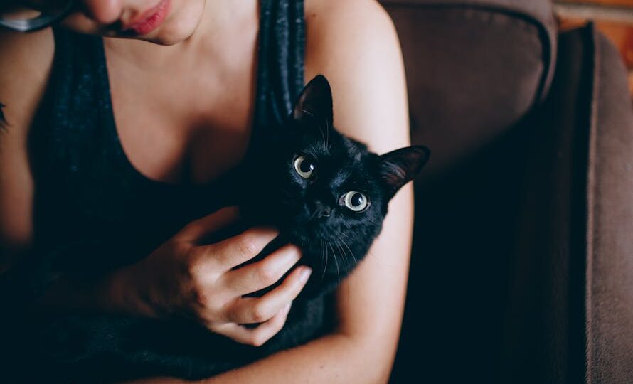 The Health Benefits of Owning a Cat: What Science Says