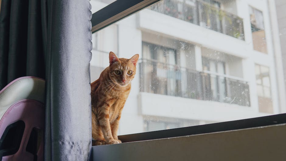Creating a Cat-Friendly Urban Oasis: Transform Your Apartment for Feline Bliss in 2026