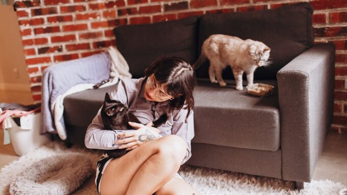The Cat Chronicles: Unveiling the Evolution of Cat Care Through the Ages