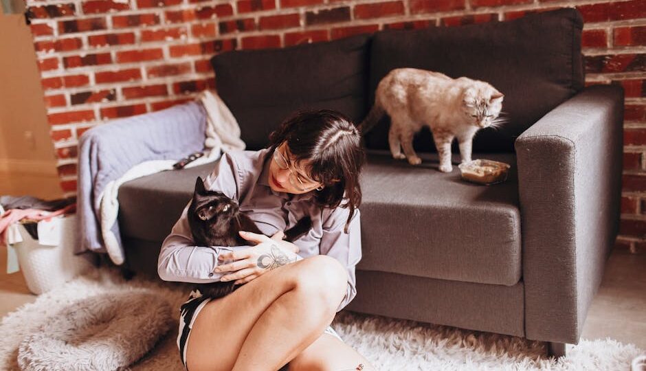 The Cat Chronicles: Unveiling the Evolution of Cat Care Through the Ages