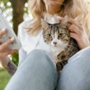 The Art of Cat Communication: Decoding Feline Language in 2026