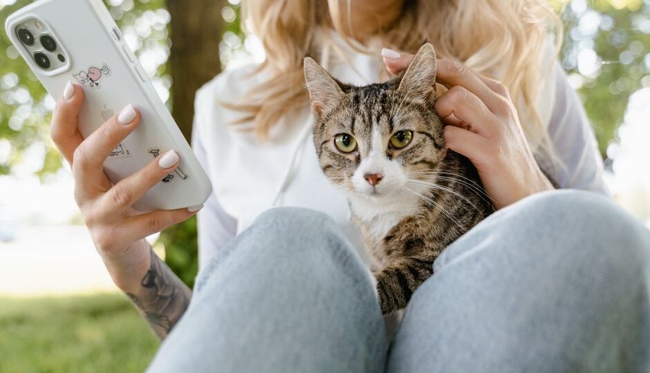 The Art of Cat Communication: Decoding Feline Language in 2026