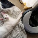 Tech-Savvy Cats: Integrating Smart Home Technology for Feline Comfort in 2026