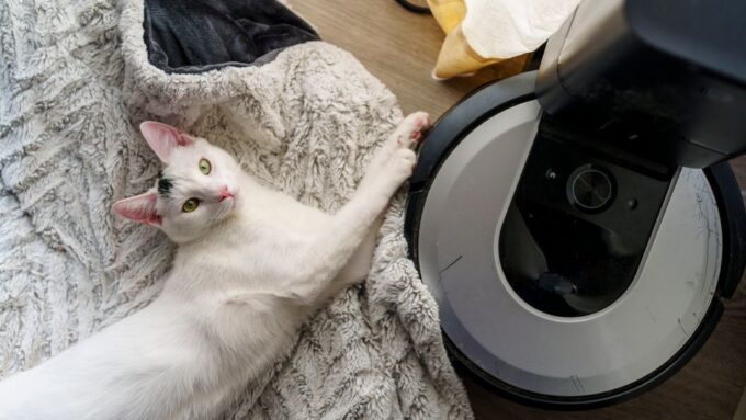 Tech-Savvy Cats: Integrating Smart Home Technology for Feline Comfort in 2026