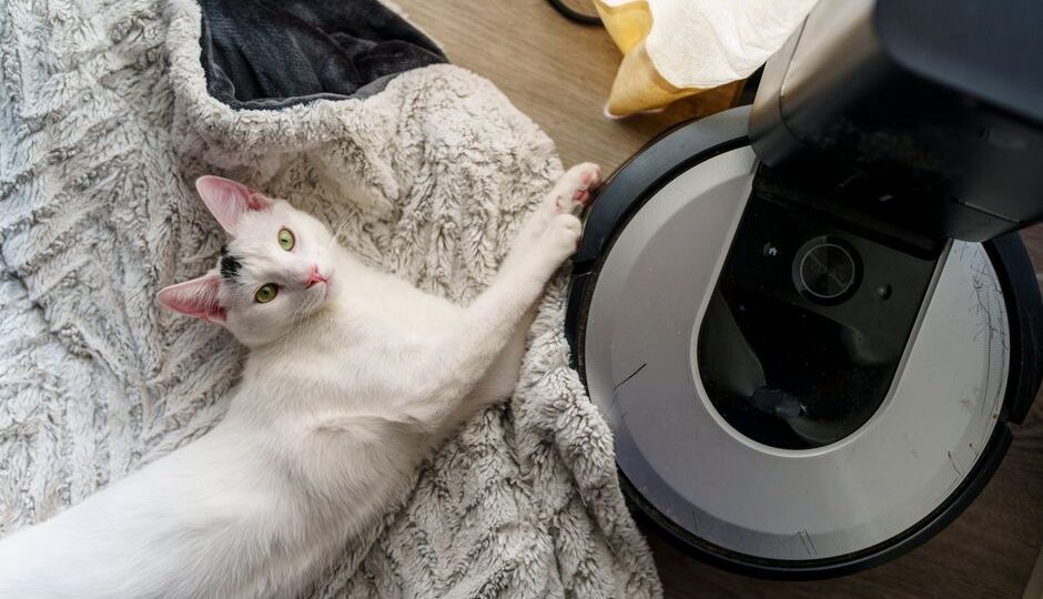 Tech-Savvy Cats: Integrating Smart Home Technology for Feline Comfort in 2026