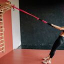 The Feline Fitness Revolution: Keeping Your Cat Active and Healthy in 2026