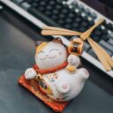 Feline Feng Shui: Designing Cat-Friendly Spaces for Harmony in 2026